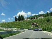 Le Jaguar nella zona del Prosecco e Cartize (62/152)